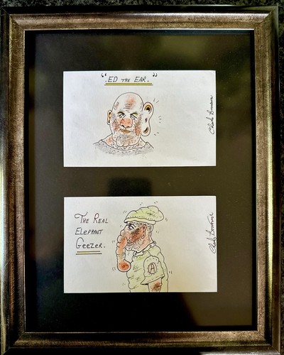 Charles bronson salvador - charles,