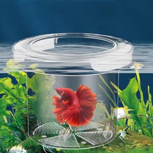 1set floating fish breeding - 1set,