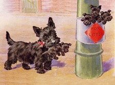 SCOTTISH TERRIER CHARMING