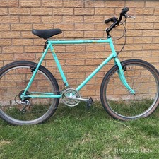 Raleigh Montage Retro Mountain Bike