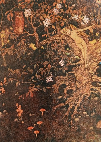 Edmund dulac mounted vintage - mounted,