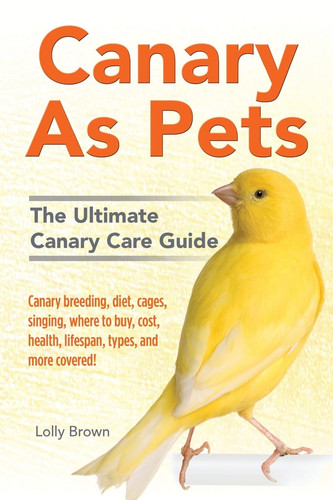 Canary pets - canary,