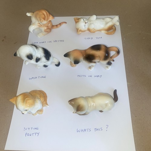 Danbury mint vintage cats - mint,