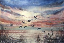 DUCKS FLYING CLOUDY SKY