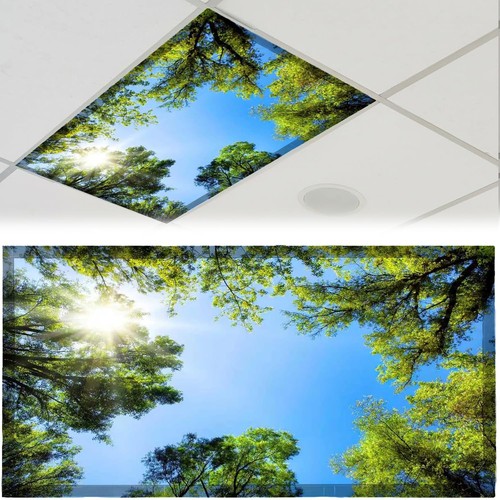 2pcs magnetic fluorescent - 2pcs,