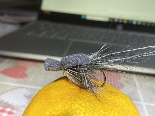 Sea trout salmon fly fishing - trout.,