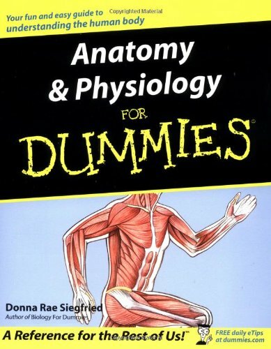 Anatomy and physiology for - anatomy,