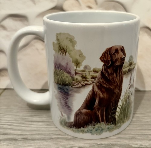 Flat coated retriever - flat,