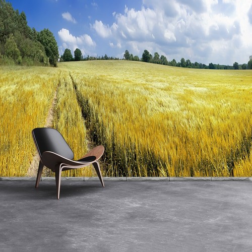 Tulup photo wallpaper self - tulup,