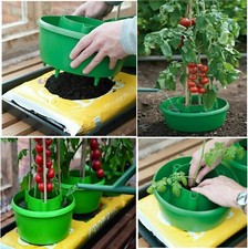 6x Green Tomatoes Garden Plant Halos Planter Bean Grow Bag Watering Crop Pot Tub