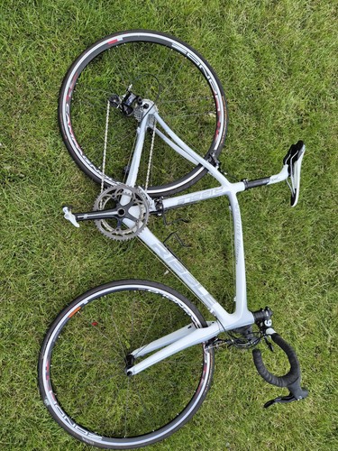Ribble sportive bianco - bianco, carbon