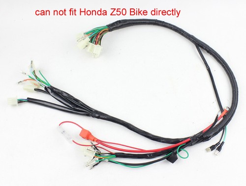 12v main wire harness assembly - 12v,