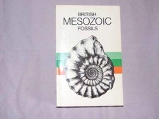 British Mesozoic Fossils -