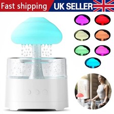 Rain Cloud Air Humidifier 7