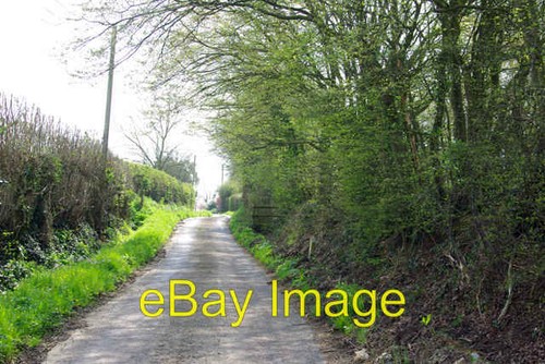 Photo 6x4 bubhurst lane - photo,