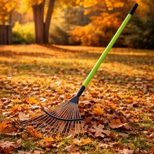 16 Tooth Lawn Rake Clean