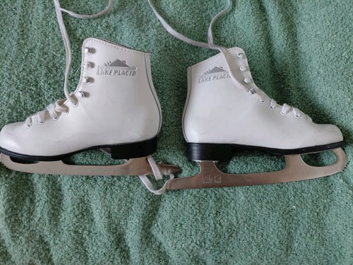 Ice skates lake - skates,
