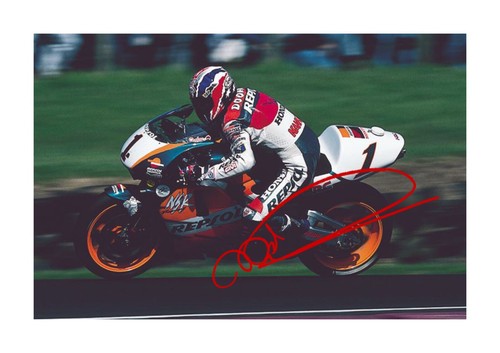 Mick doohan reproduction - doohan, 2