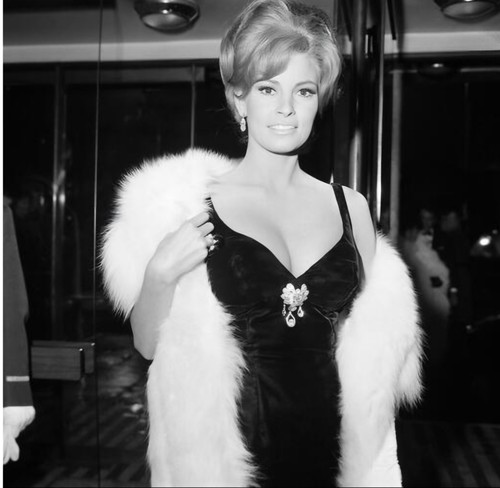 Raquel welch sexy busty 10x10 - sexy,