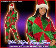 ADULT DLX HARLEQUIN JESTER