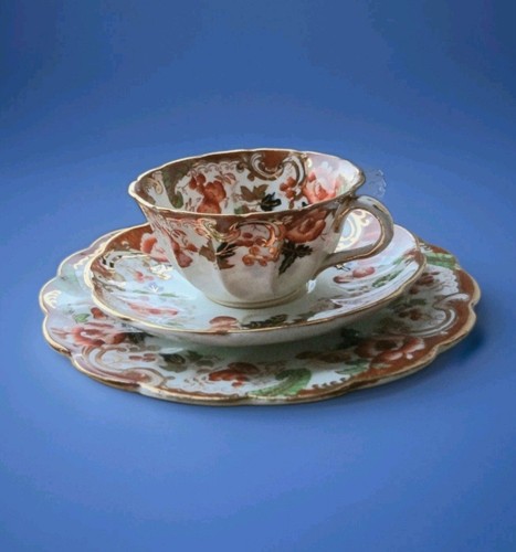 Windsor bone china cup - ,