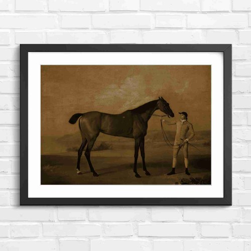Vintage brown hunter horse - vintage,