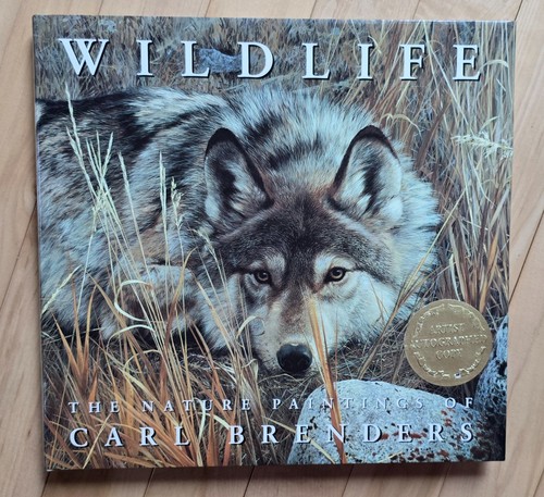 Wildlife the nature - nature, paintings