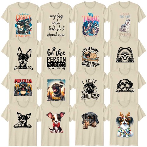 Funny dog adult - funny, pet