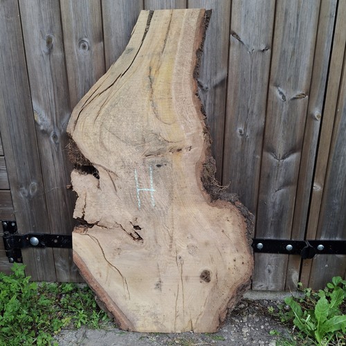 Oak wood waney live edge - waney,