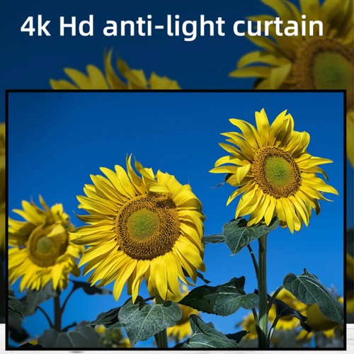 100 projector screen - ¸100,