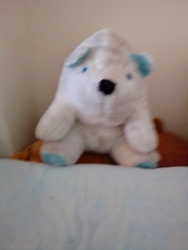 Large polar bear soft toy - bear,