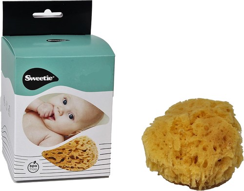 Natural sea sponges - sea,