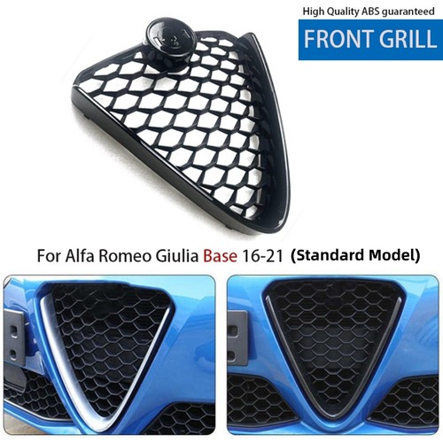 Gloss black radiator - radiator, grille