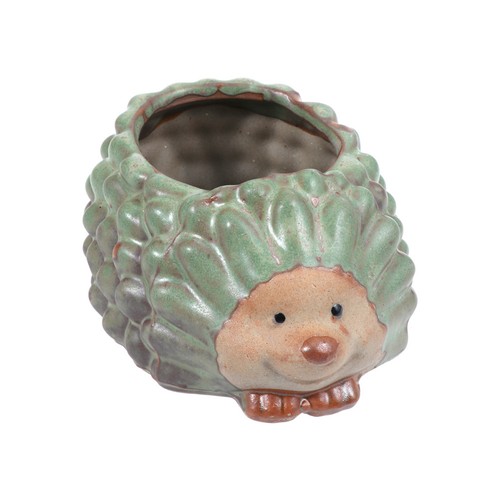 Hedgehog flower pot cute - hedgehog, plant