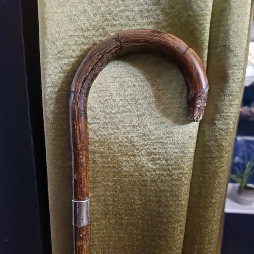 Antique walking stick - walking,