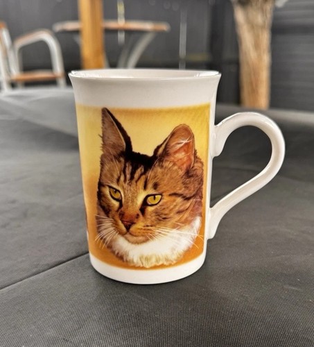 Vintage norfolk china tabby - vintage,