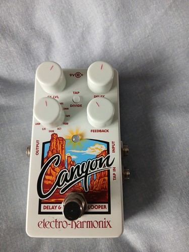 Electro harmonix canyon - electro-harmonix, delay
