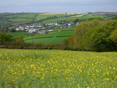 Photo 6x4 farmland - 6x4, cuby