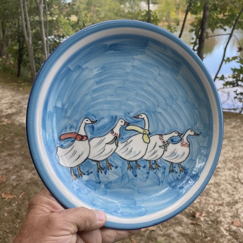 Embden toulouse goose lovely - toulouse,