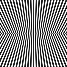 The Vacant Lots - Damage