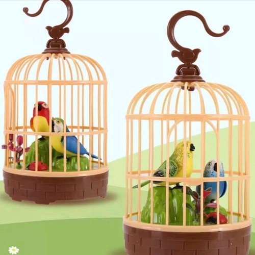 Singing bird cage sound - bird, in