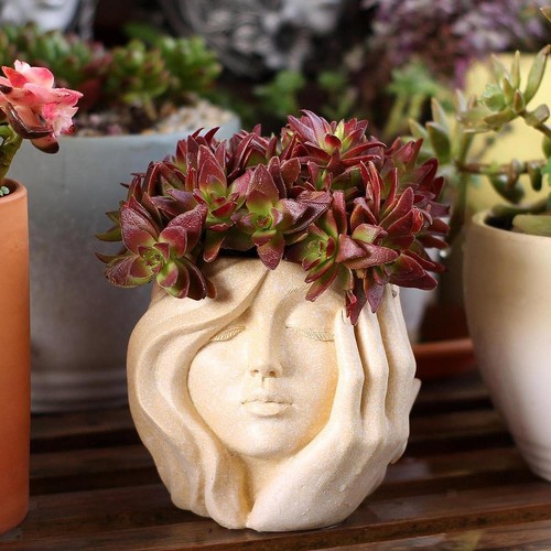 Face planter pot - face, multipurpose