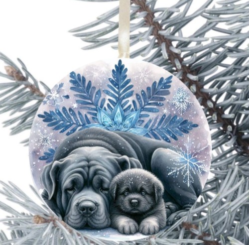 Neopolitan mastiff dog hanging - dog,