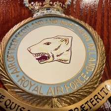 VINTAGE ROYAL AIR FORCE (RAF)