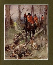 FOXHOUNDS HORSES AND RED-COAT