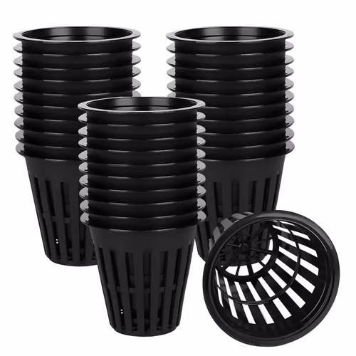 100pcs inch garden - 50/100pcs,