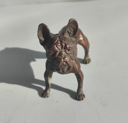 Bronze french bulldog - bulldog, dog