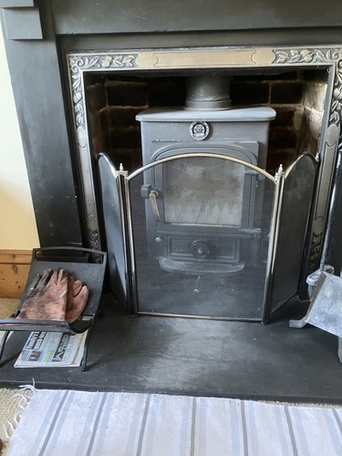 Fire guard screen - fire,