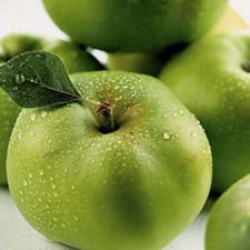 'Bramley' Apple Fruit Tree, 1