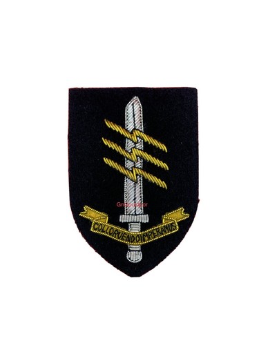 Special forces communicator - special,